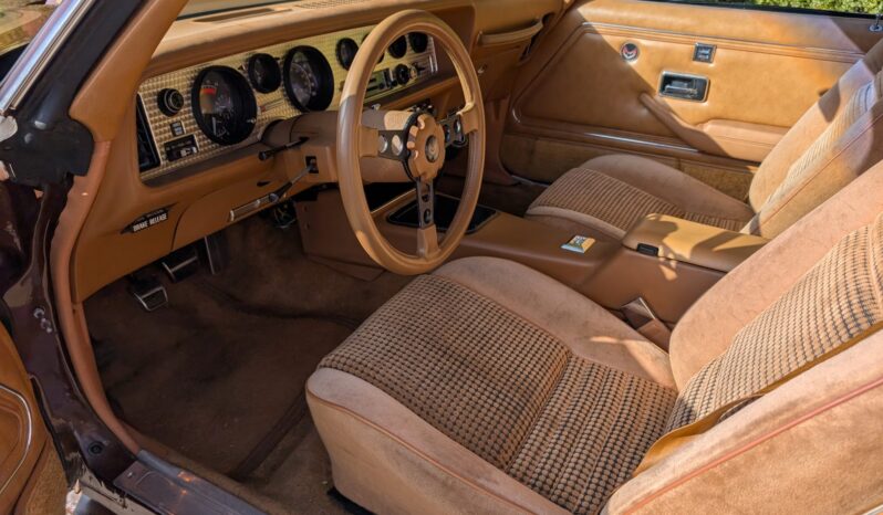 
								1979 Pontiac Firebird Trans Am WS6 4-Speed full									