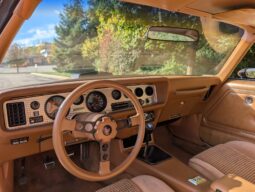 
										1979 Pontiac Firebird Trans Am WS6 4-Speed full									