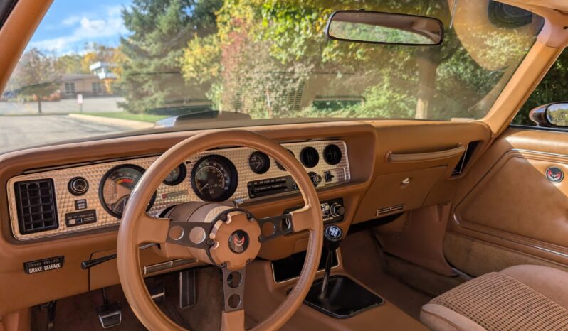 
								1979 Pontiac Firebird Trans Am WS6 4-Speed full									