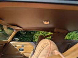 
										1979 Pontiac Firebird Trans Am WS6 4-Speed full									