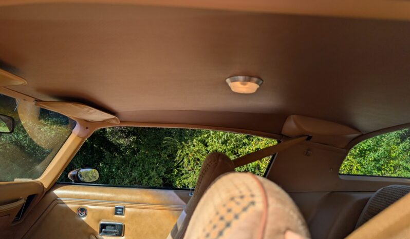 
								1979 Pontiac Firebird Trans Am WS6 4-Speed full									