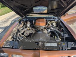 
										1979 Pontiac Firebird Trans Am WS6 4-Speed full									