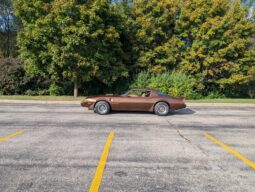 
										1979 Pontiac Firebird Trans Am WS6 4-Speed full									
