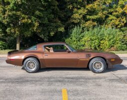 
										1979 Pontiac Firebird Trans Am WS6 4-Speed full									