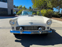 
										1956 Ford Thunderbird full									