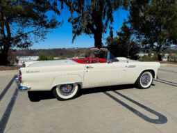 
										1956 Ford Thunderbird full									