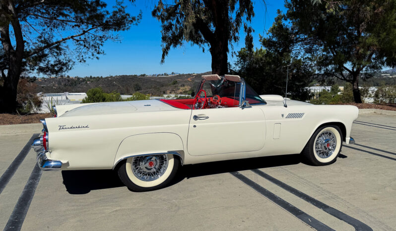 
								1956 Ford Thunderbird full									