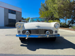 
										1956 Ford Thunderbird full									