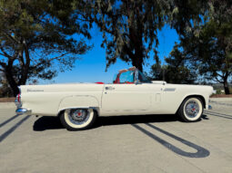 
										1956 Ford Thunderbird full									