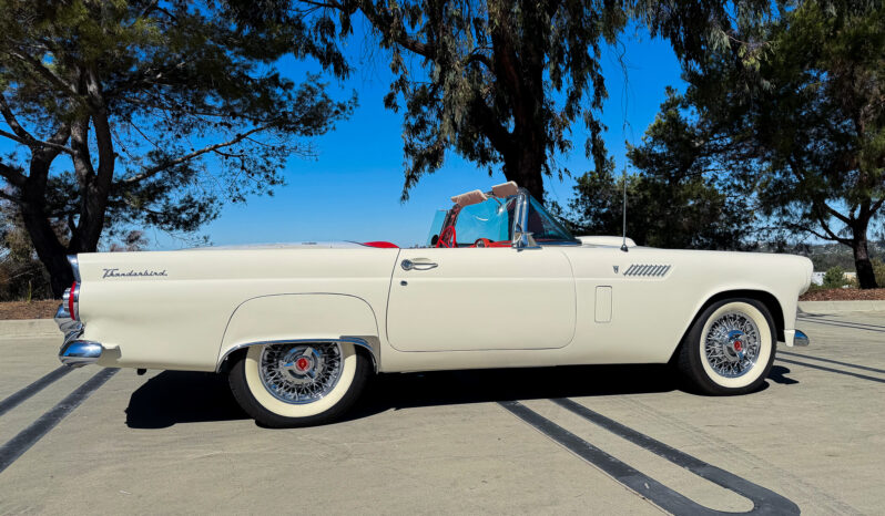 
								1956 Ford Thunderbird full									