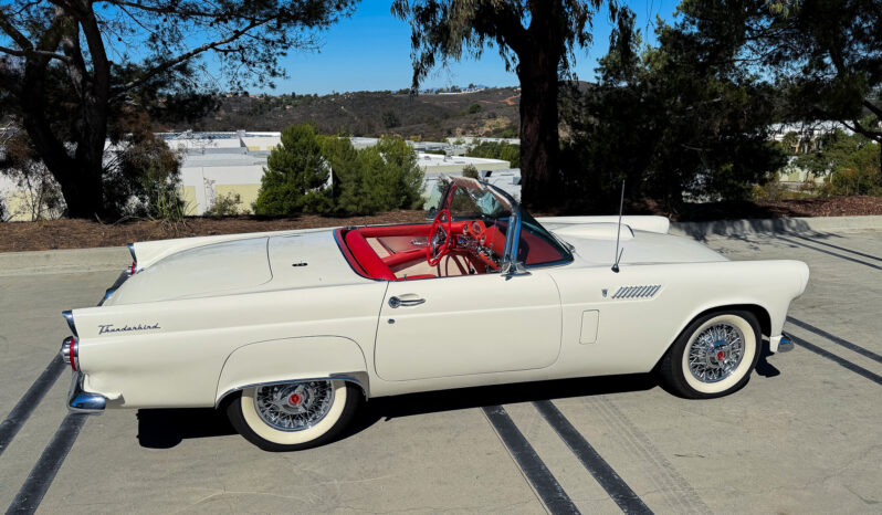 
								1956 Ford Thunderbird full									