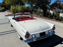 
										1956 Ford Thunderbird full									