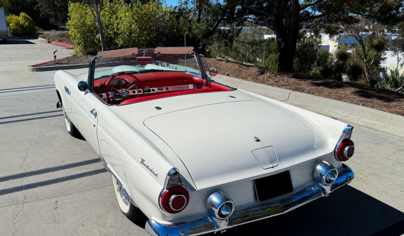 
								1956 Ford Thunderbird full									