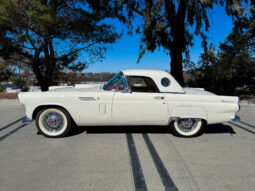 
										1956 Ford Thunderbird full									