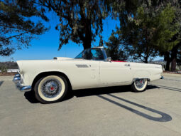 
										1956 Ford Thunderbird full									