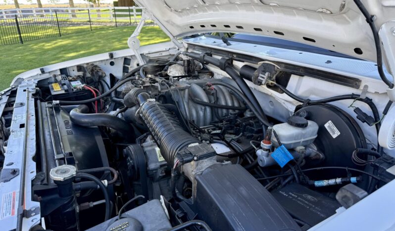
								1996 Ford Bronco XLT full									