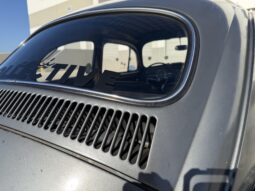 
										1962 Volkswagen Beetle full									