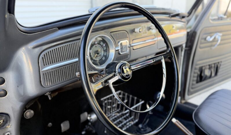 
								1962 Volkswagen Beetle full									