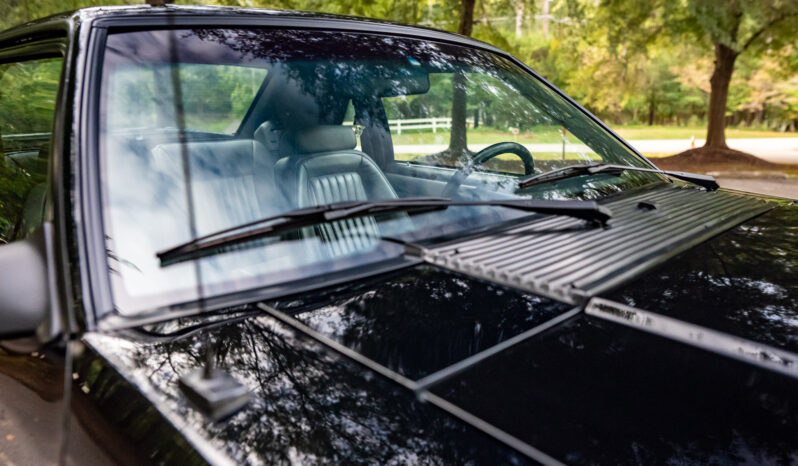 								1993 Ford Mustang SVT Cobra full									