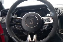 										2020 Ford Mustang Shelby GT500 full									