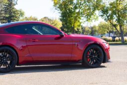 										2020 Ford Mustang Shelby GT500 full									