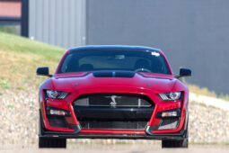 										2020 Ford Mustang Shelby GT500 full									