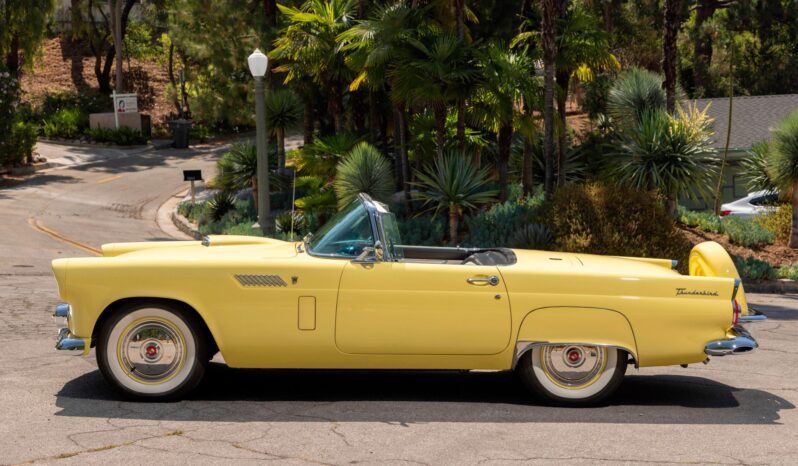 								1956 Ford Thunderbird full									