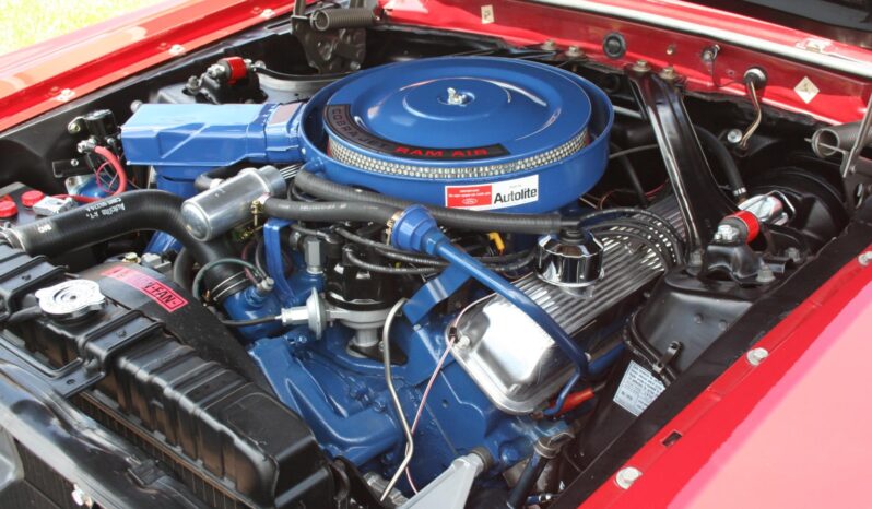 
								1969 Shelby Mustang GT500 Fastback full									