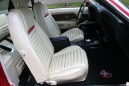 
										1969 Shelby Mustang GT500 Fastback full									