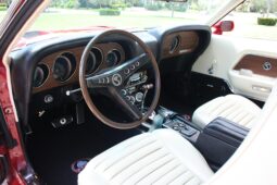 
										1969 Shelby Mustang GT500 Fastback full									