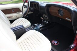 
										1969 Shelby Mustang GT500 Fastback full									