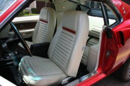 
										1969 Shelby Mustang GT500 Fastback full									