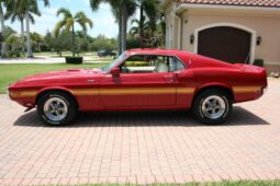 
										1969 Shelby Mustang GT500 Fastback full									