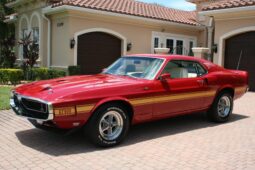 
										1969 Shelby Mustang GT500 Fastback full									