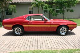 
										1969 Shelby Mustang GT500 Fastback full									