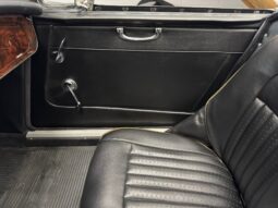 
										1967 Austin-Healey 3000 BJ8 Mk III full									