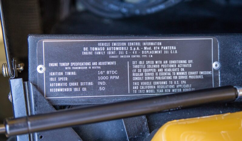 								1973 DeTomaso Pantera GTS full									