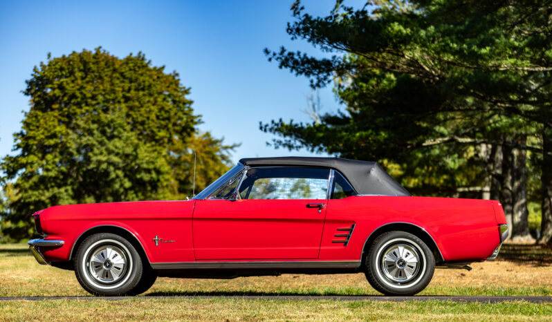
								1966 Ford Mustang Convertible full									