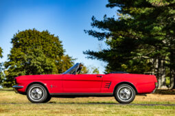 
										1966 Ford Mustang Convertible full									