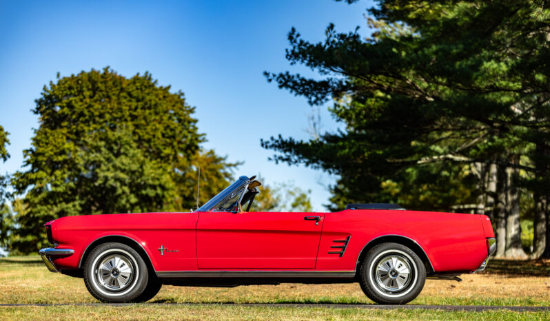 
								1966 Ford Mustang Convertible full									