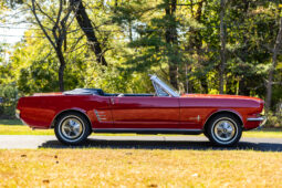 
										1966 Ford Mustang Convertible full									