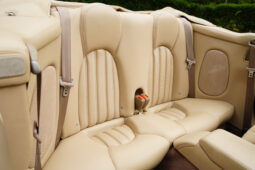 
										2006 Jaguar XK8 Convertible full									