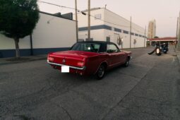 
										1966 Ford Mustang Coupe 289 full									