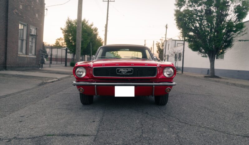 
								1966 Ford Mustang Coupe 289 full									