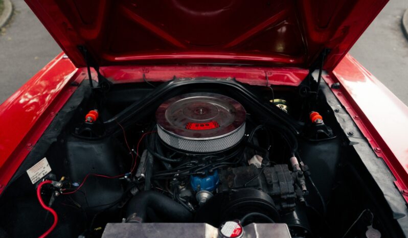 
								1966 Ford Mustang Coupe 289 full									