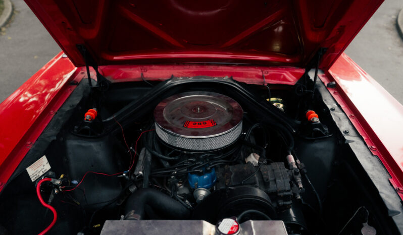 
								1966 Ford Mustang Coupe 289 full									