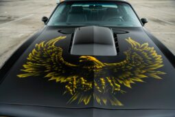 										1978 Pontiac Firebird Trans Am 6-Speed full									