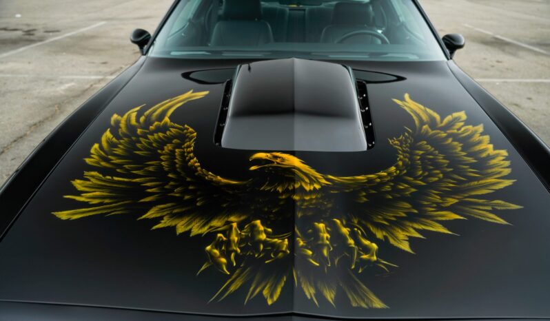 								1978 Pontiac Firebird Trans Am 6-Speed full									