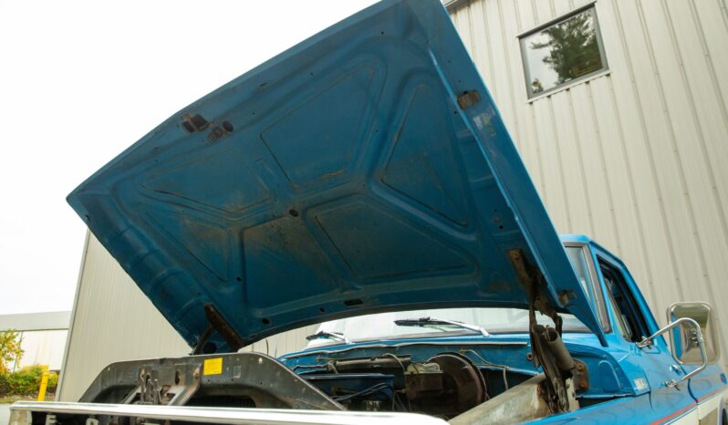 								1976 Ford F-250 Custom Bicentennial full									