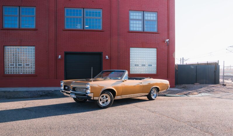 								1967 Pontiac GTO Convertible full									